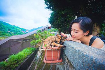 【Taipei Day Tour】Houtong: A Taiwan village Sees Stray Cats As Savior