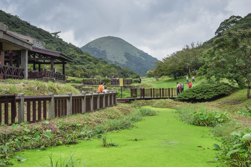 Erziping Ecological Pond Yangmingshan National Park 01