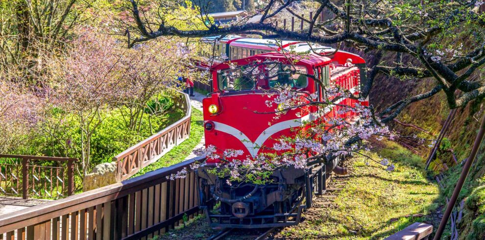 alishan private tour