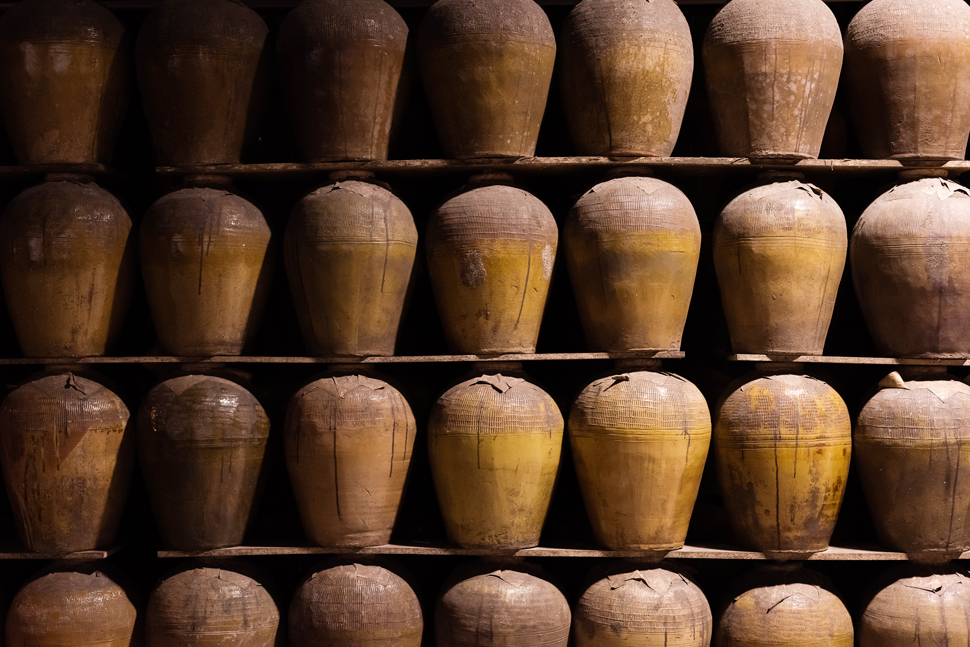 🌕《湖光之間,緩慢發聲:日月潭三日人文體感之旅》 4 Puli Winery