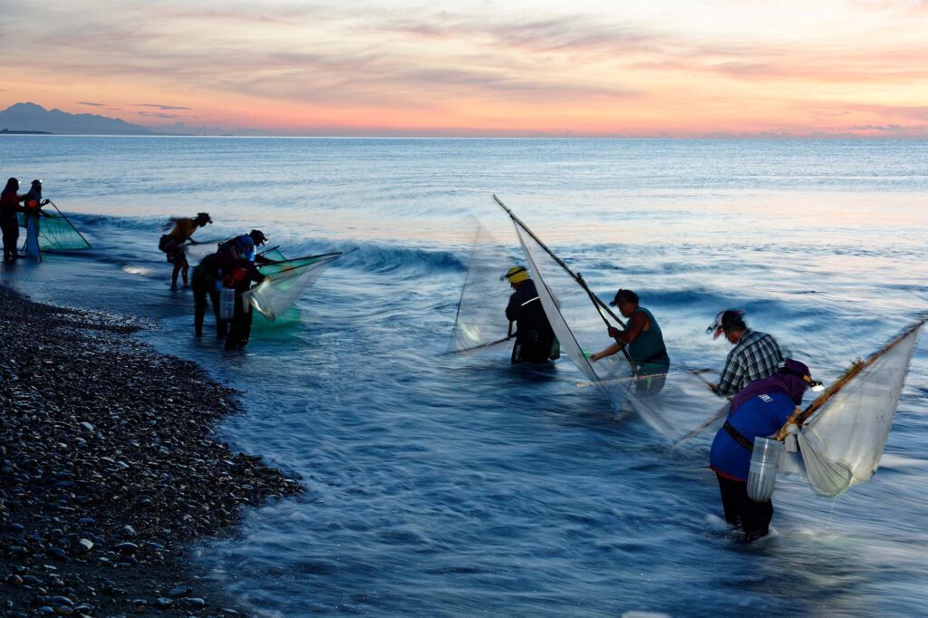Flying Fish Season Orchid Island Lanyu