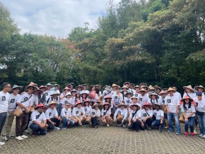 Team Building Picking Tea Corporate Retreat 1